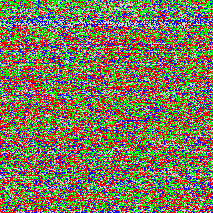 Genetic Construct